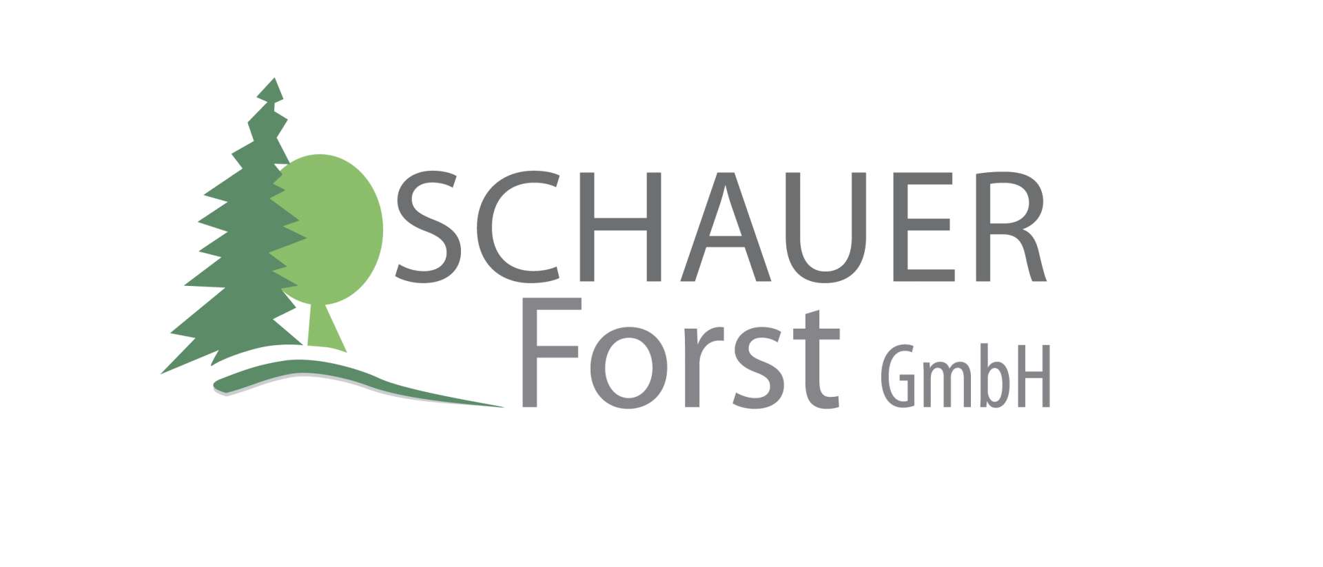 Schauer Forst